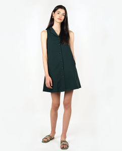 Gideon Shirt Dress